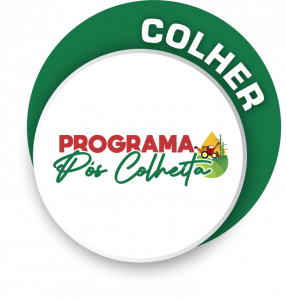 Pós Colheita
