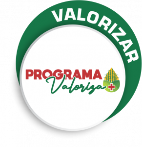 Programa Valoriza+