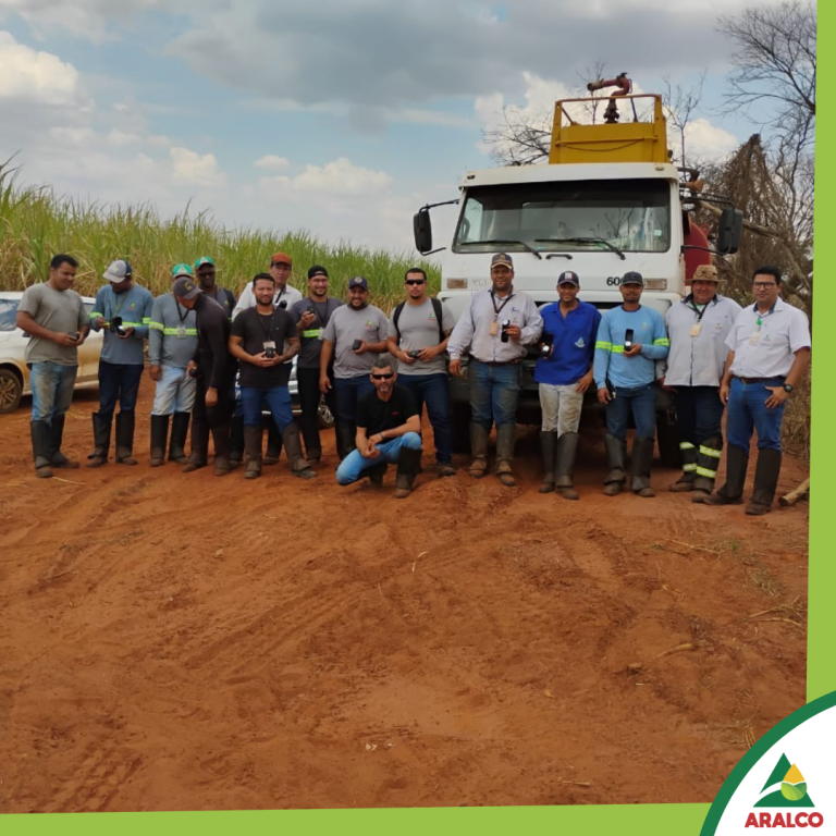 Gigantes da Colheita: Grupo Aralco reconhece profissionais pela produtividade no campo.