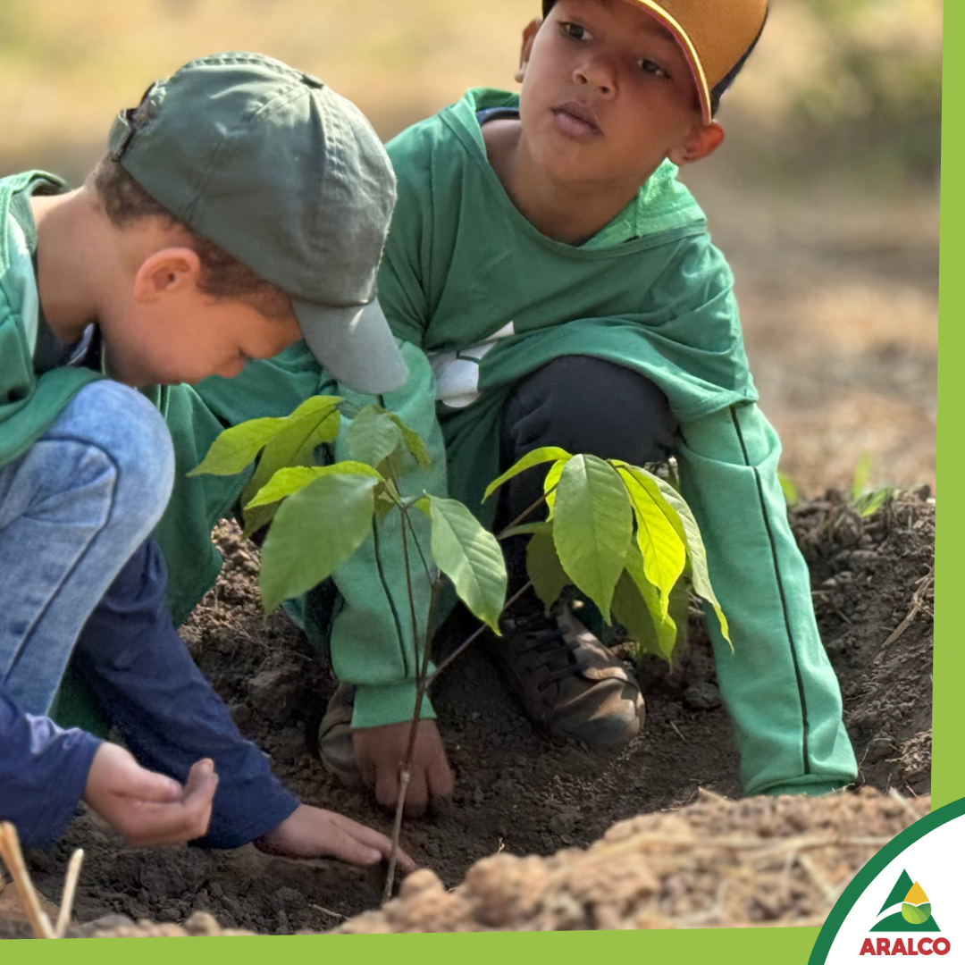 3bcbad80eb44351db8a8c23bce3c19910