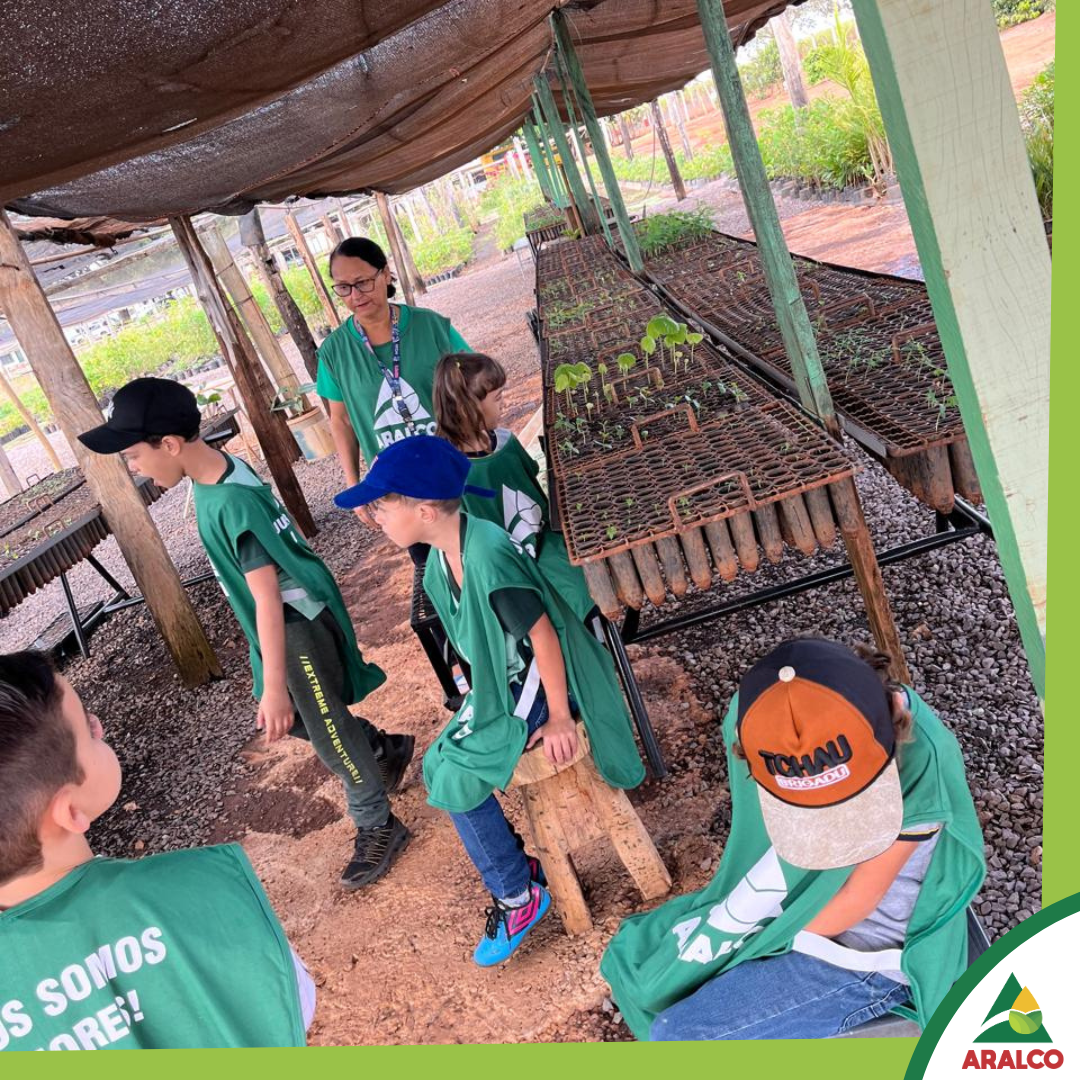 3bcbad80eb44351db8a8c23bce3c19913