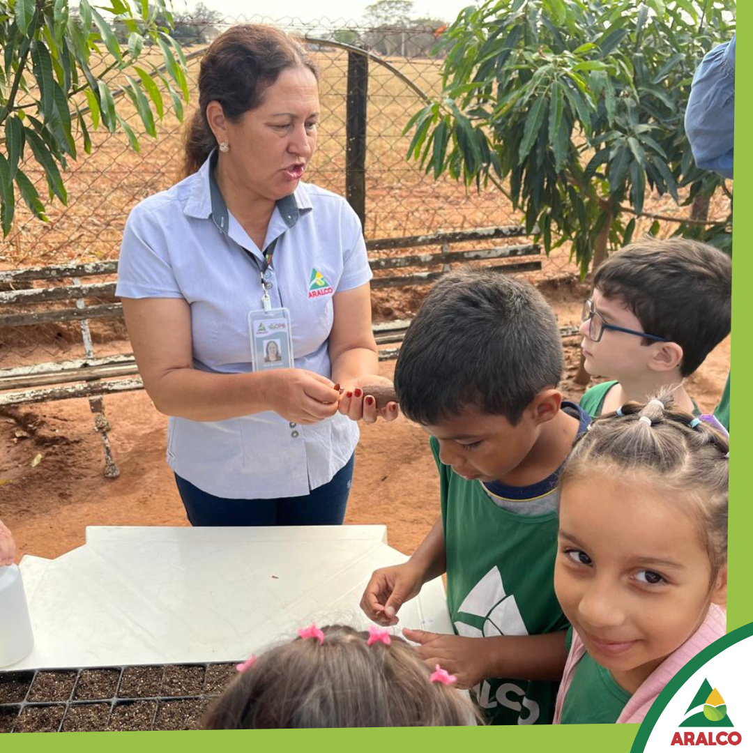 3bcbad80eb44351db8a8c23bce3c19915