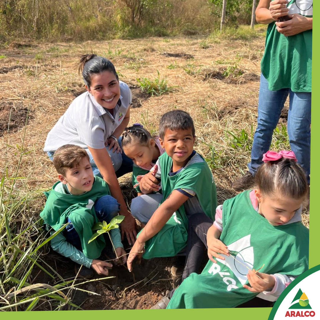 3bcbad80eb44351db8a8c23bce3c19916