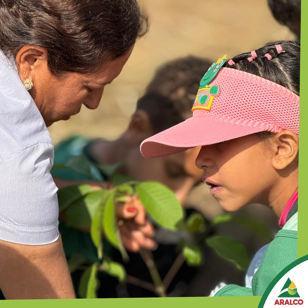 3bcbad80eb44351db8a8c23bce3c19917