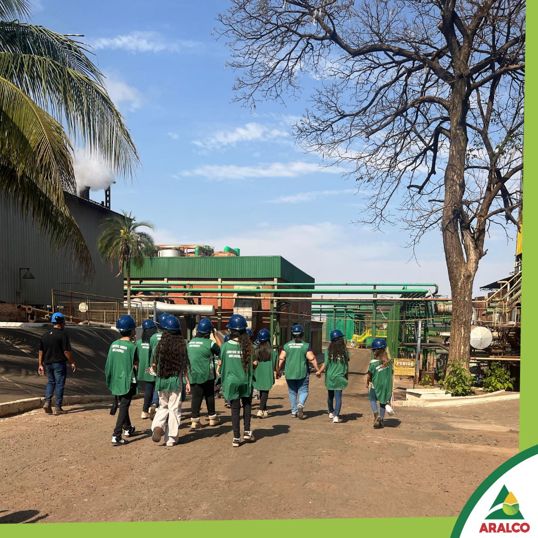 663ff8a7c0526ec546e2da1cc586d0333