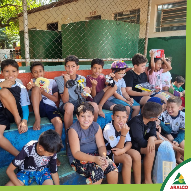 MARATONA 5S: COLABORADORES DO GRUPO ARALCO DOAM BRINQUEDOS A CRIANÇAS EM VICENTINÓPOLIS-SP.